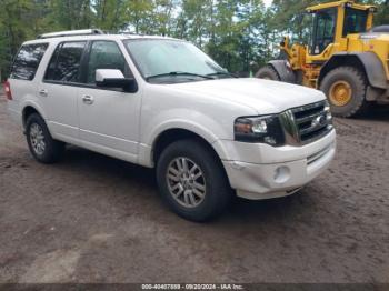  Salvage Ford Expedition