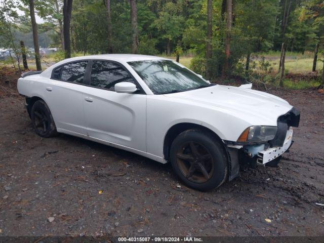  Salvage Dodge Charger