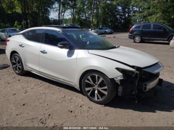  Salvage Nissan Maxima