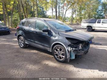  Salvage Ford Escape