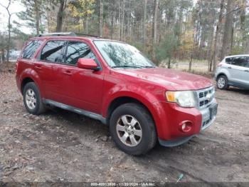  Salvage Ford Escape