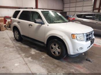  Salvage Ford Escape