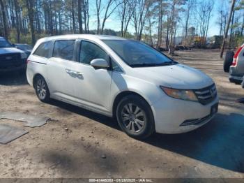  Salvage Honda Odyssey