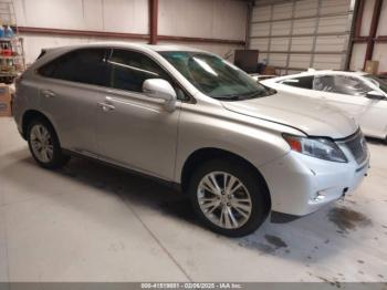  Salvage Lexus RX