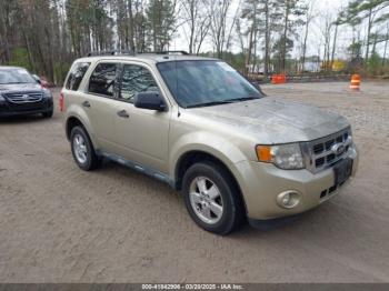  Salvage Ford Escape