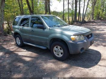  Salvage Ford Escape