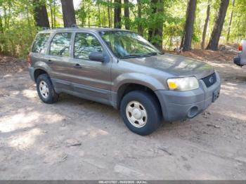 Salvage Ford Escape