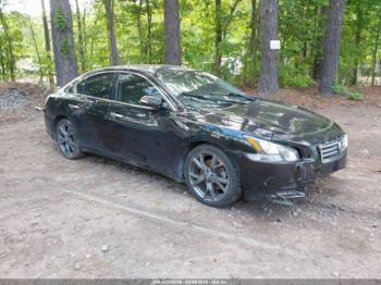  Salvage Nissan Maxima