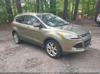  Salvage Ford Escape