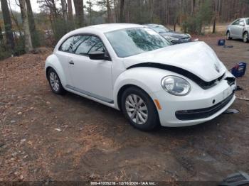  Salvage Volkswagen Beetle