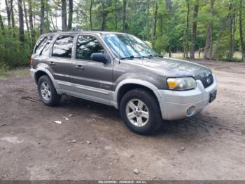  Salvage Ford Escape