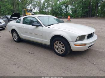  Salvage Ford Mustang