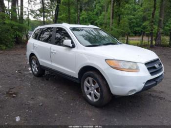  Salvage Hyundai SANTA FE
