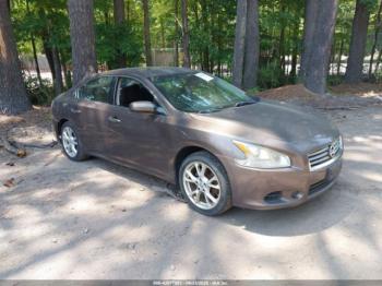  Salvage Nissan Maxima