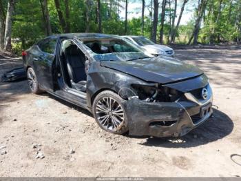  Salvage Nissan Maxima