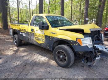  Salvage Ford F-150