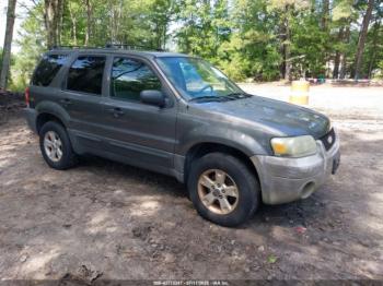  Salvage Ford Escape