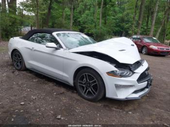  Salvage Ford Mustang