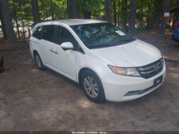  Salvage Honda Odyssey