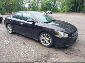  Salvage Nissan Maxima