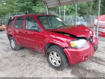  Salvage Ford Escape