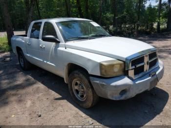  Salvage Dodge Dakota