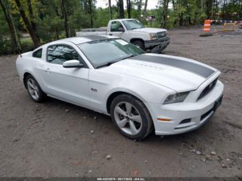  Salvage Ford Mustang
