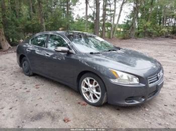  Salvage Nissan Maxima