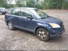 Honda CR-V Lx Image 1