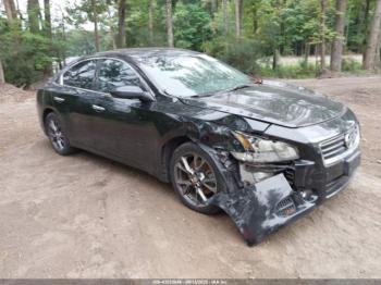  Salvage Nissan Maxima