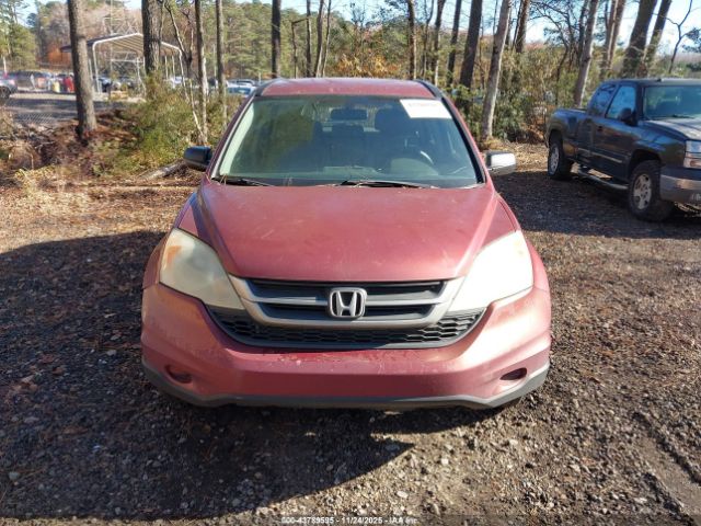 Honda CR-V Lx Image 10