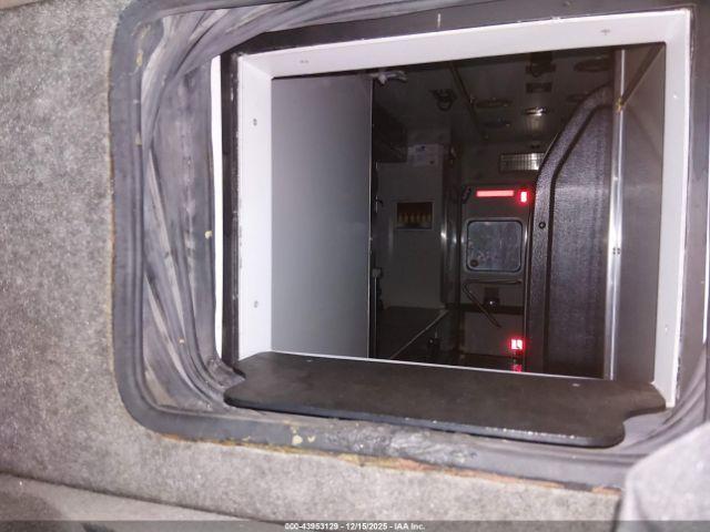 International Terrastar Image 2