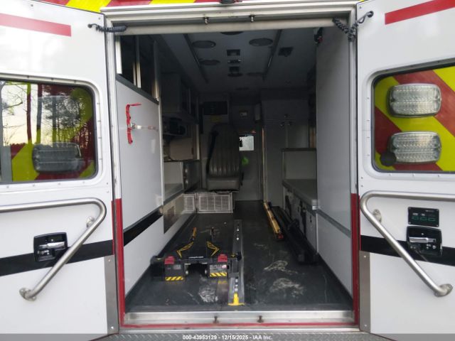 International Terrastar Image 7