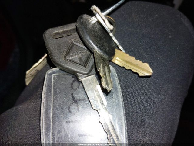 International Terrastar Image 16