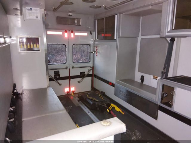 International Terrastar Image 8