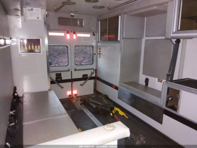 International Terrastar Image 8