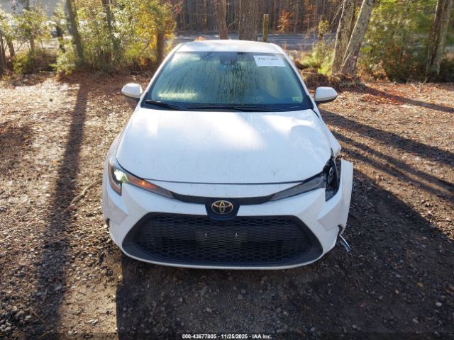 Toyota Corolla Le Image 12