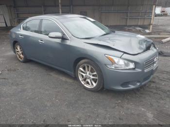  Salvage Nissan Maxima