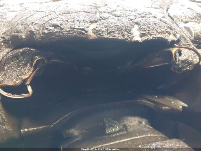 Ford Escape Se Image 7