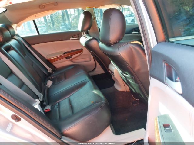 Honda Accord 2.4 Ex-l Image 6