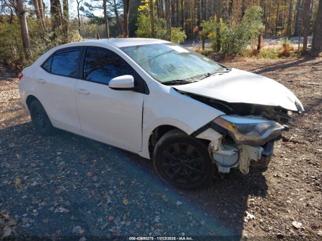 Toyota Corolla Le Image 1