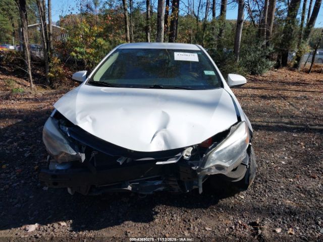 Toyota Corolla Le Image 12