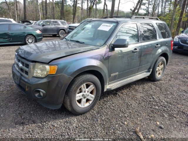 Ford Escape Image 12