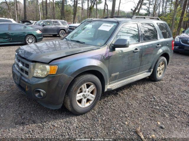 Ford Escape Image 12