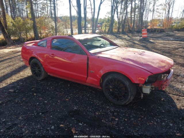 Ford Mustang Image 1