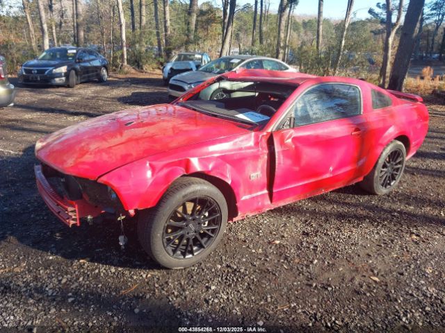 Ford Mustang Image 3