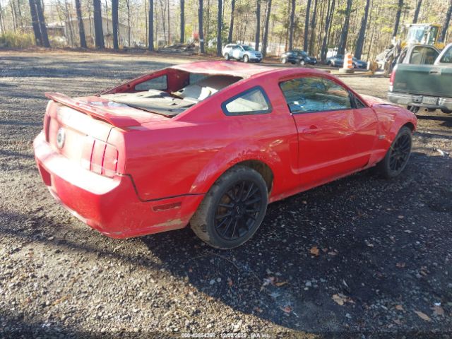 Ford Mustang Image 5