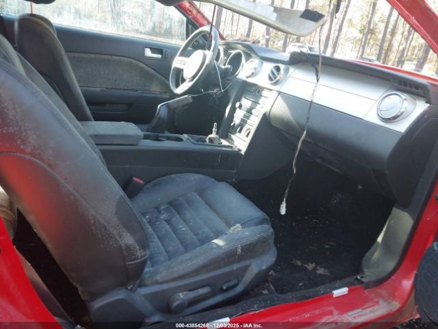 Ford Mustang Image 2