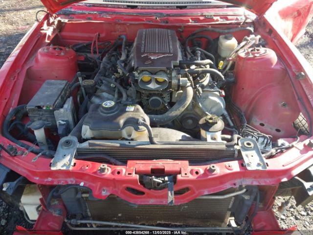 Ford Mustang Image 13