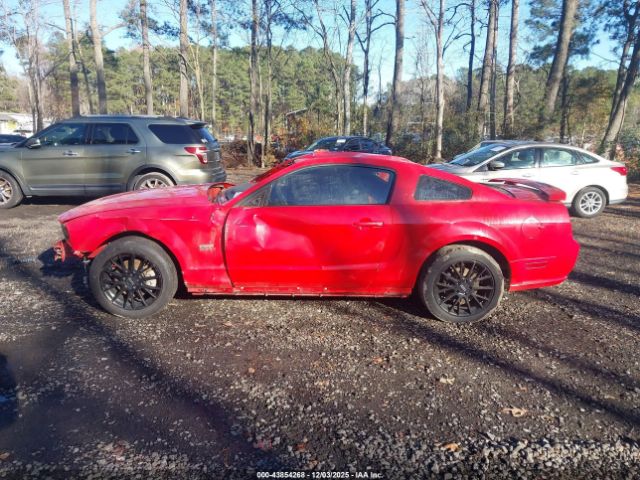 Ford Mustang Image 11